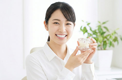 歯科模型を持って微笑む女性