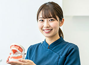 歯の模型を持つ歯科医師