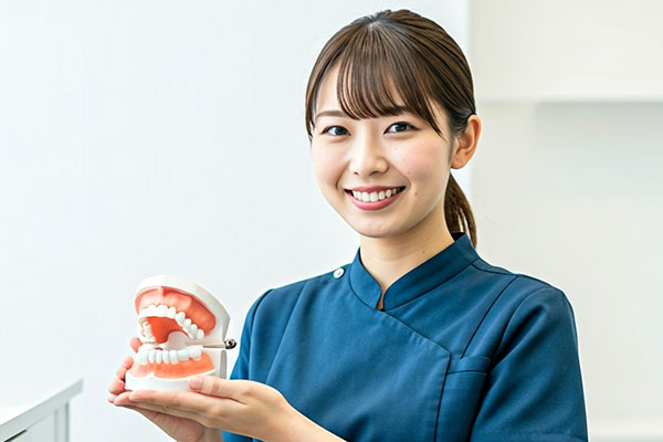 歯の模型を持つ歯科スタッフ