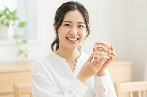 歯の模型を持つ女性