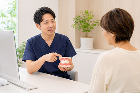 歯の模型で説明する歯科医師