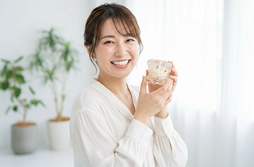 歯の模型を持って笑顔の女性
