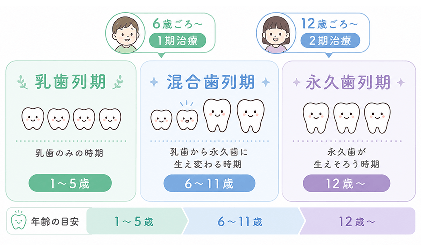 歯並びの成長と治療の目安