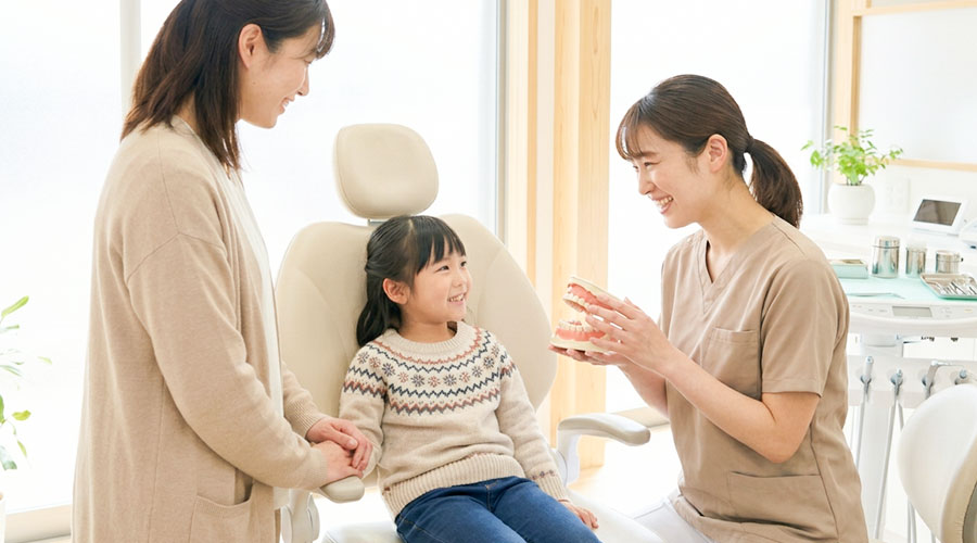 子供に歯の模型で説明する歯科医師